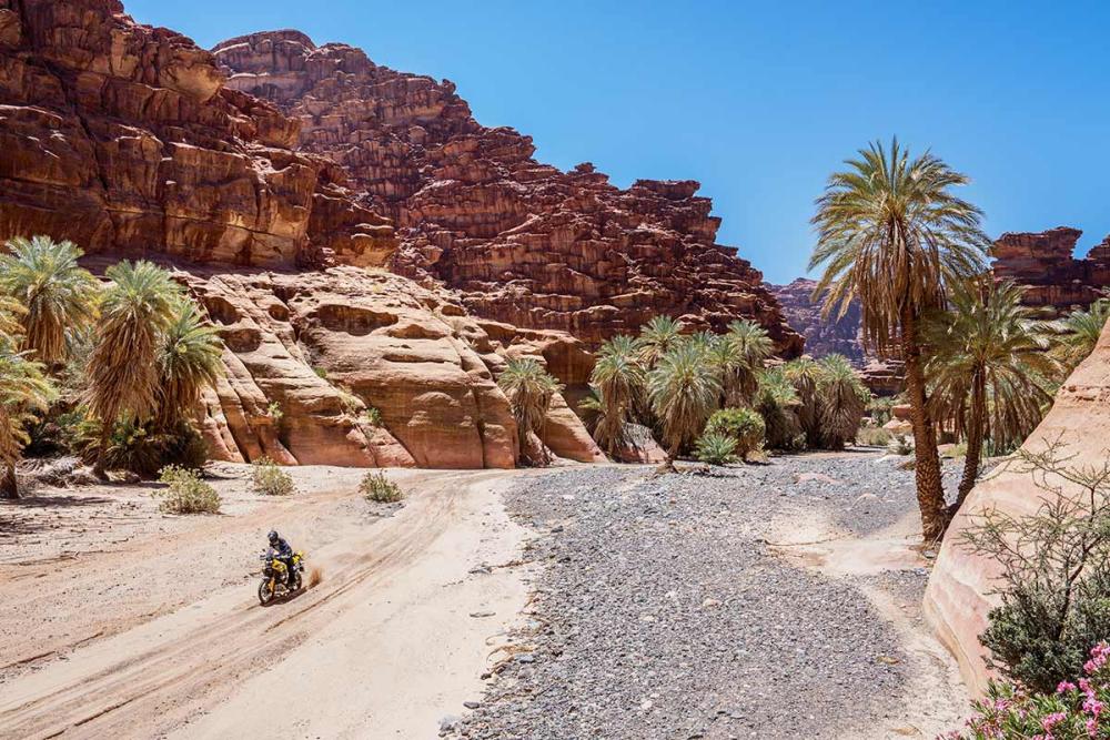 Touratech_Motorrad_Schaefer_Saudi_Arabien_Wadi_Disah