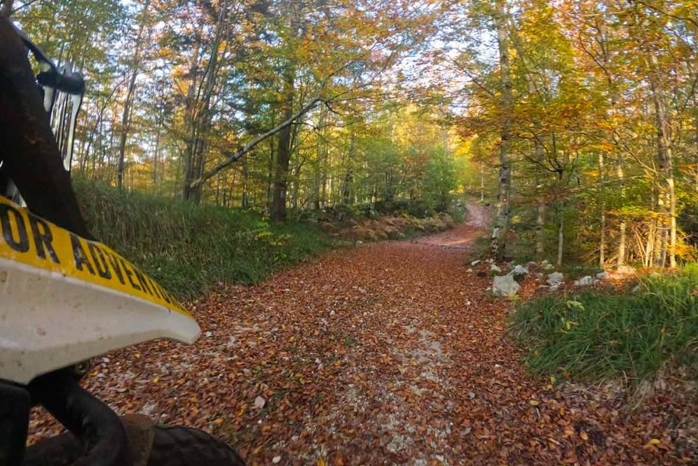Touratech_Motorrad_Hoyer_Kroatien_Wald3