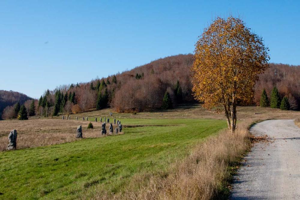 Touratech_Motorrad_Hoyer_Kroatien_krk_Baum
