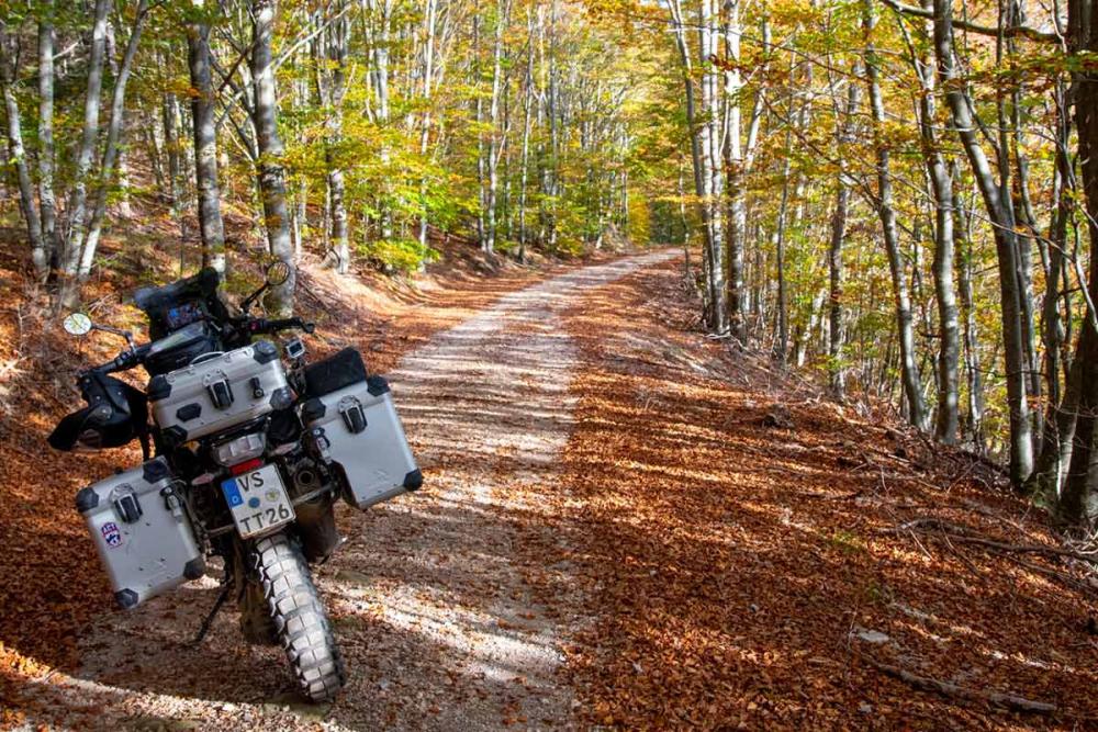 Touratech_Motorrad_Hoyer_Kroatien_krk_Strasse_Wald2