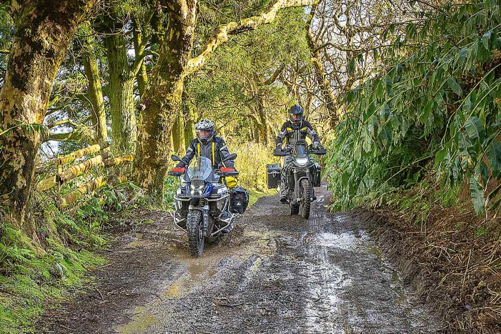 Touratech_Motorrad_Reise_Azoren_Wald1