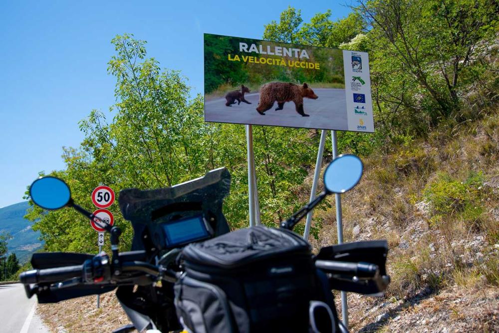 Touratech_Motorrad_Michael_Hoyer_Italien_Caramico_Baerschild