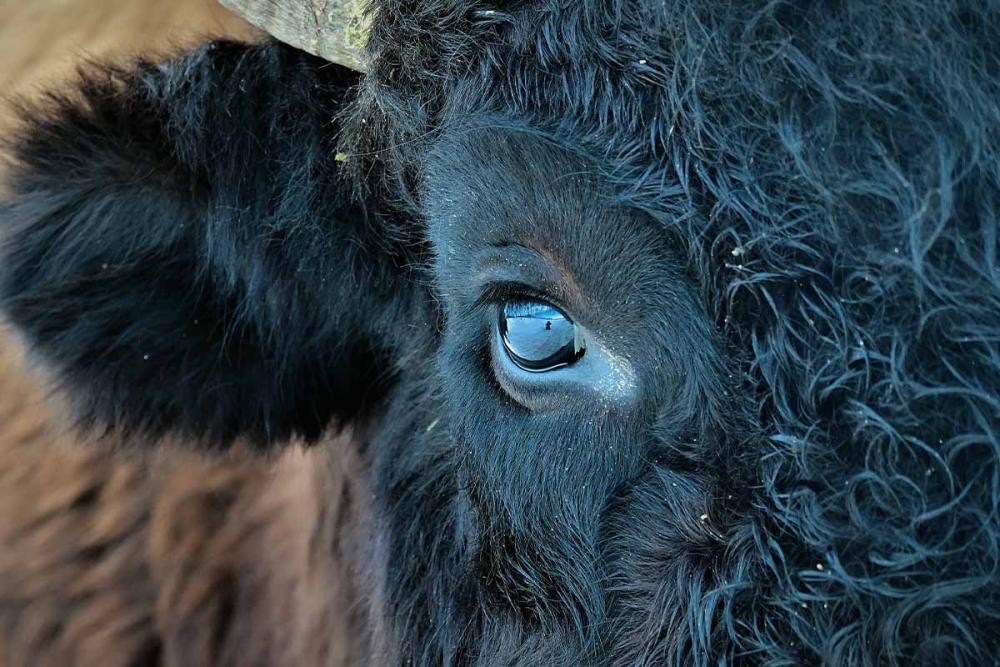 Touratech_Motorrad_Brucker_Kanada_Auge