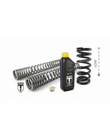 01-042-8007-0 BLACK-T Tieferlegung -25mm für BMW R NineT SCRAMBLER / URBAN G/S 2016 - 2020