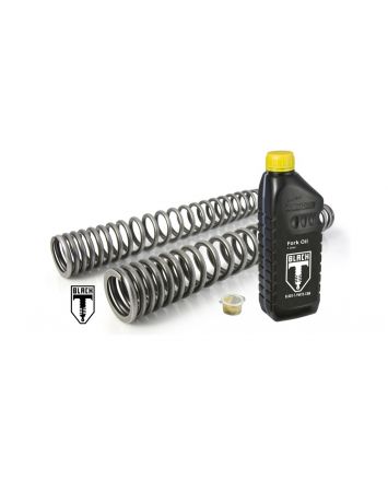 01-042-5851-0 Progressive Gabelfedern für BMW RnineT (2021-2022)
