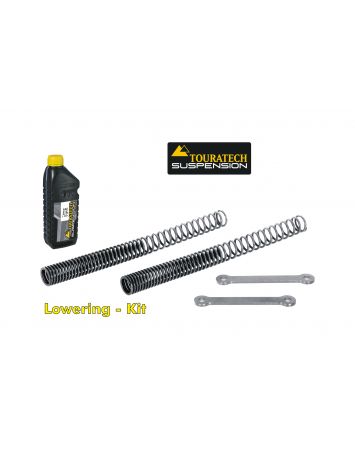 01-440-5867-0 Tieferlegung um -25mm für Harley Davidson 1250 Pan America ab 2021 Gabelfedern und Umlenkung +Nur ohne elektronisches Fahrwerk+