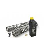 01-042-5844-0 BLACK-T Gabelfedern Stage1 progressiv für BMW RnineT Racer ab 2017