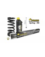 01-403-5855-0 Tieferlegung um -25mm für Honda CRF1100L Adventure Sports ohne EERA (2020-2022) Austauschfedern