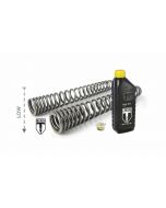 01-661-5828-0 BLACK-T Tieferlegung um -30mm Gabelfedern progressiv Stage1 für Indian FTR 1200 / FTR 1200 S (2019-2021)