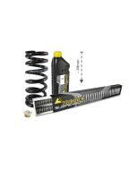 01-082-5883-0 Tieferlegung um 30mm für BMW F750GS (2018-2023), BMW F800GS (2024-) Austauschfedern