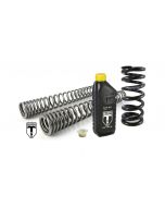 01-042-5837-0 BLACK-T Austauschfedern progressiv für Gabel und Federbein Stage1 für BMW RnineT Scrambler/UrbanG/S ab 2015