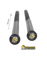 01-632-5876-0 Touratech Suspension Tieferlegung -35mm Cartridge Kit für Yamaha 700 Tenere ab 2019