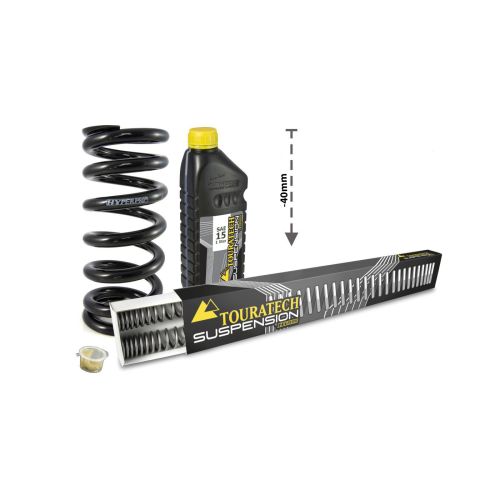 01-083-5888-0 Progressive Austauschfedern -40mm für BMW F900GS/Adventure (2024-) Tieferlegungsfedern für Gabel und Federbein