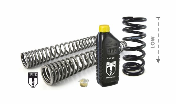 01-660-5854-0 BLACK-T Tieferlegung um -15mm für Harley Davidson FXBR(S) Breakout (2018-2021) Austauschfedern
