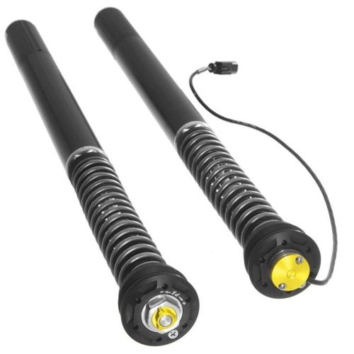 01-058-5890-0 Touratech Suspension Cartridge Plug&Travel fuer BMW R1250R (2018-)