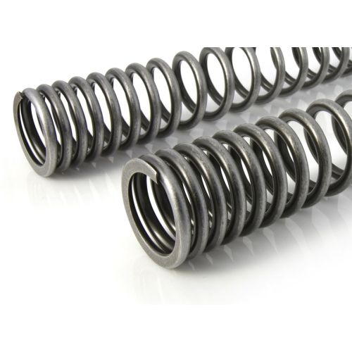 01-042-5836-0 BLACK-T Gabelfedern Stage1 progressiv fuer BMW RnineT Scrambler / Urban G/S (2015-2020)