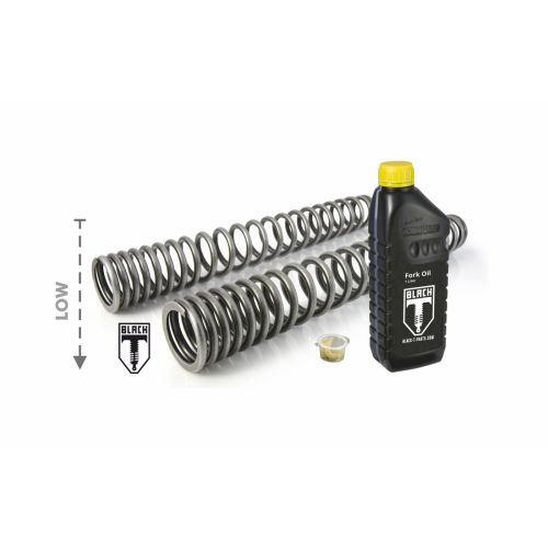 01-661-5828-0 BLACK-T Tieferlegung um -30mm Gabelfedern progressiv Stage1 fuer Indian FTR 1200 / FTR 1200 S (2019-2021)