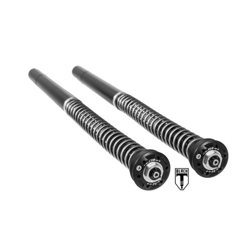 01-042-5840-0 BLACK-T Cartridge Kit Stage4 fuer BMW RnineT (2014-2020)