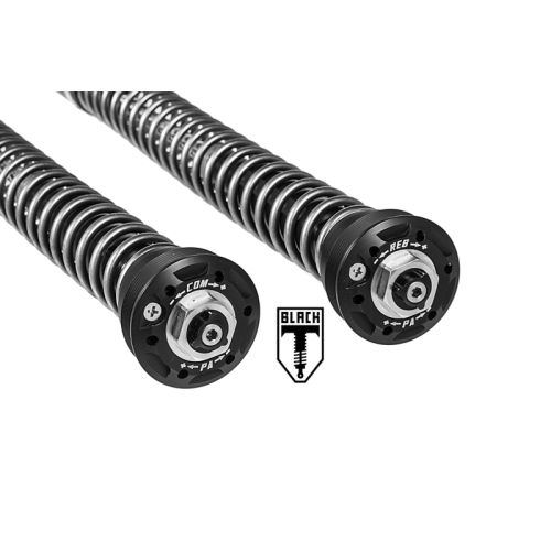 01-042-5840-0 BLACK-T Cartridge Kit Stage4 fuer BMW RnineT (2014-2020)