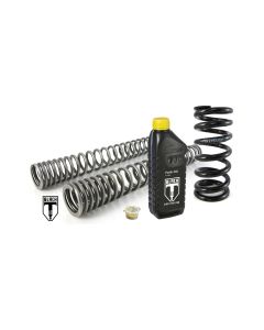 BLACK-T Austauschfedern für Yamaha XJR 1300 1998 - 2001