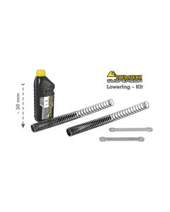 01-420-5837-0 Tieferlegung um 30mm Triumph Tiger 800 XC 2011-2014 *Austauschfeder und Umlenkhebel*