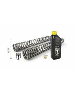 01-661-5828-0 BLACK-T Tieferlegung um -30mm Gabelfedern progressiv Stage1 für Indian FTR 1200 / FTR 1200 S (2019-2021)