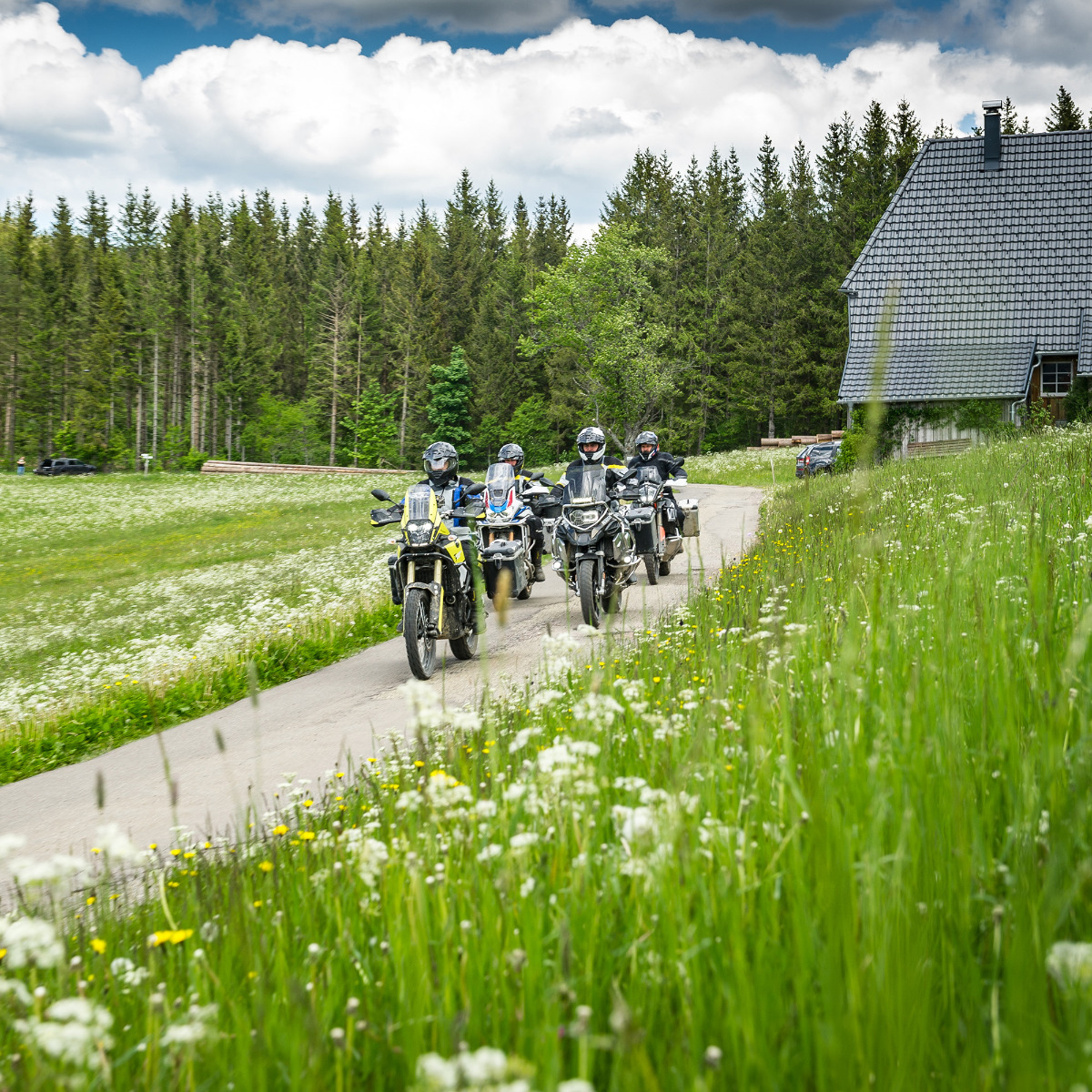 2020_Juni_-_Fotoshooting_Schwarzwald