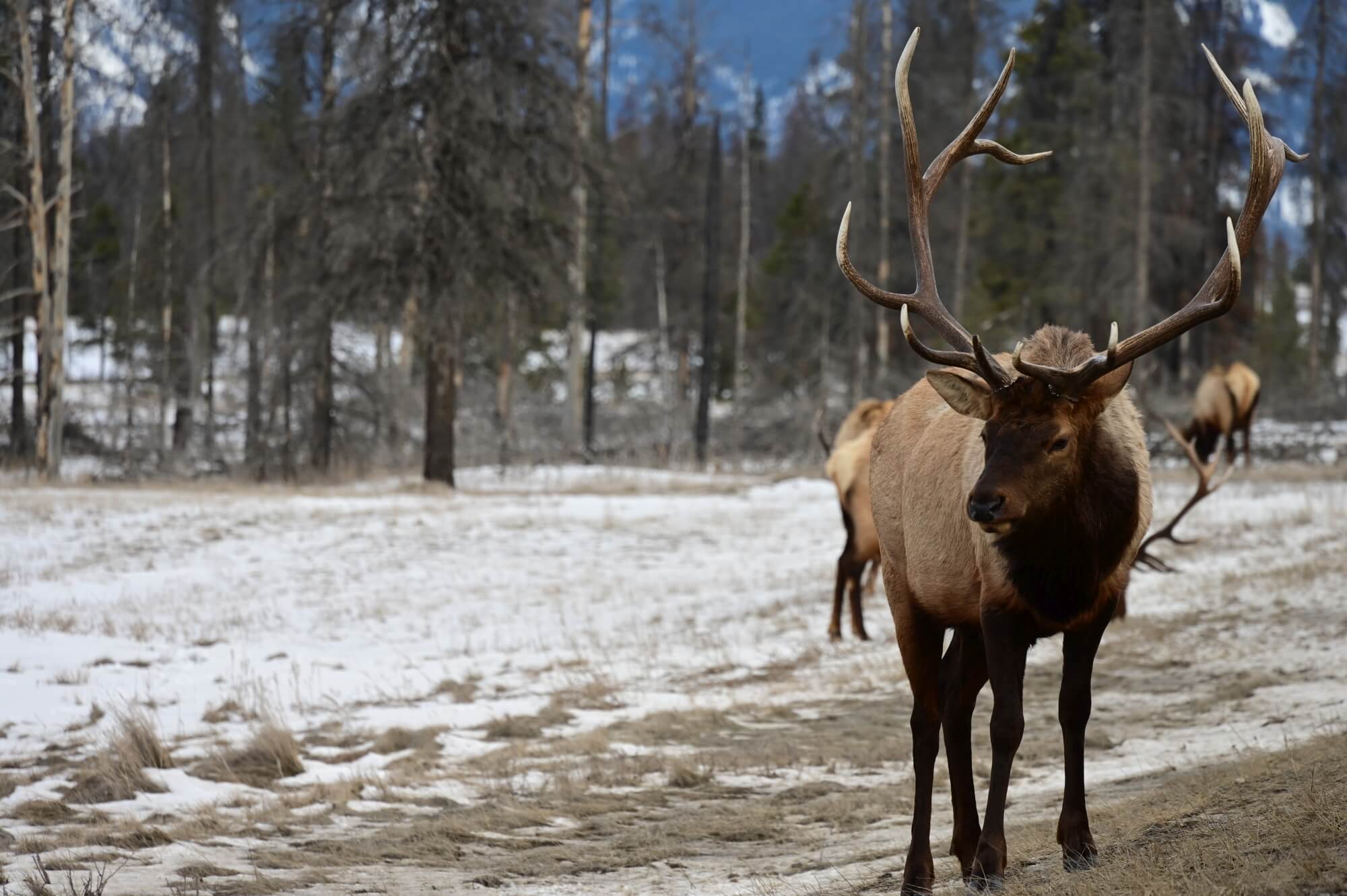 202203_Martin-Brucker_Alex-Guth_Kanada-Yukon-Dawson-City_07