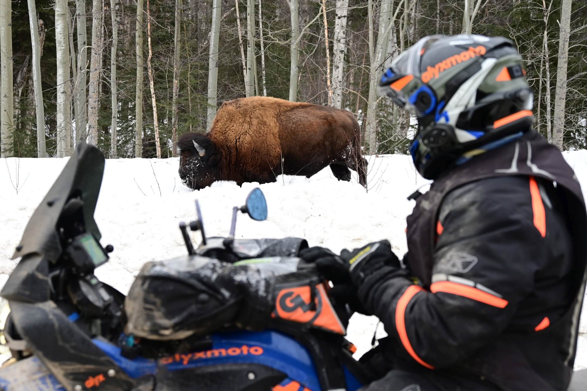 202203_Martin-Brucker_Alex-Guth_Kanada-Yukon-Dawson-City_11
