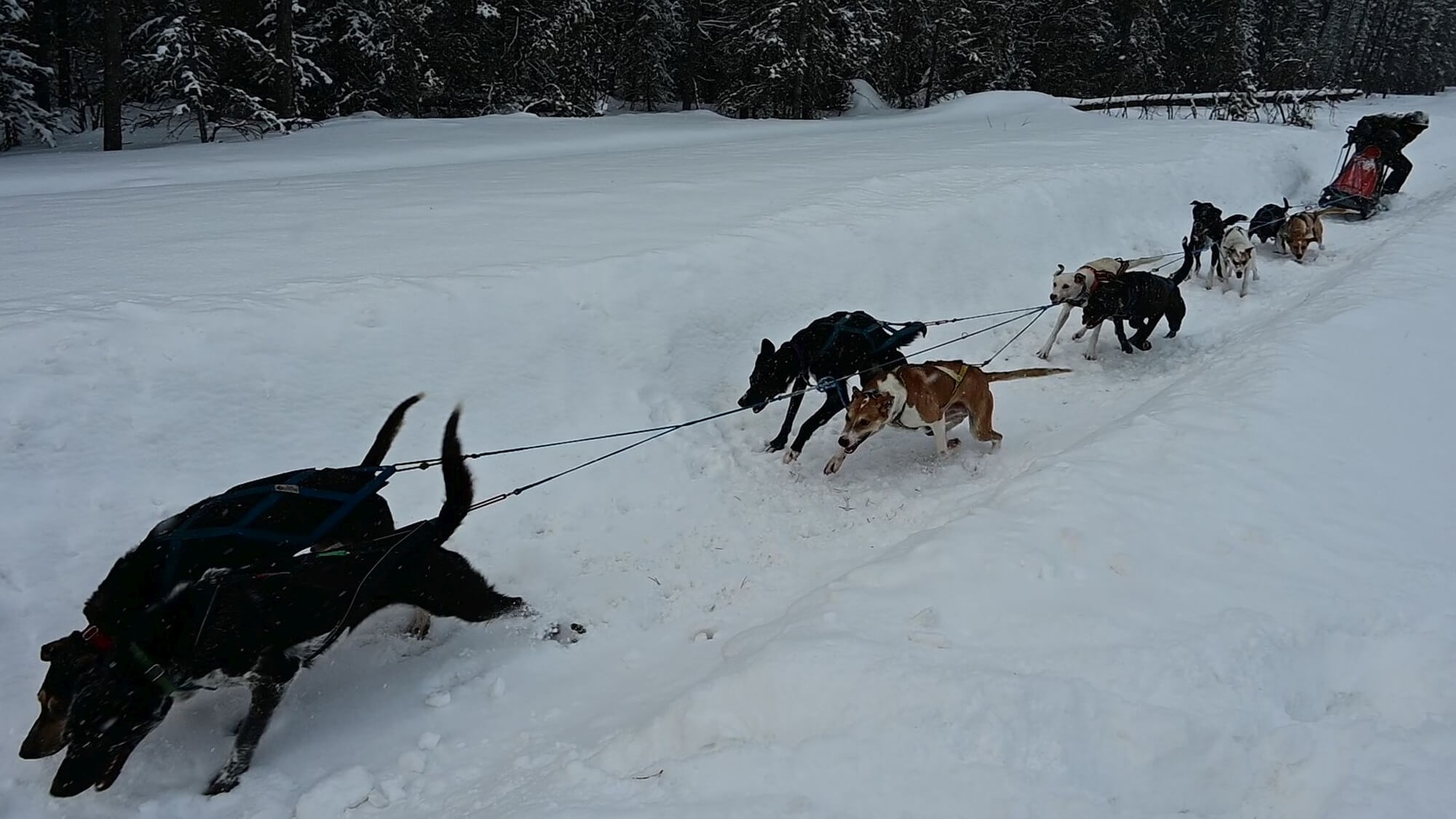 202203_Martin-Brucker_Alex-Guth_Kanada-Yukon-Dawson-City_27