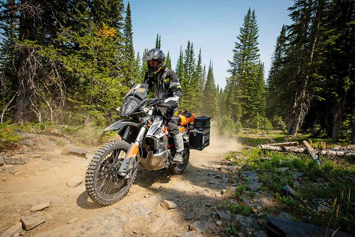 Weites-Land-BDR-Wyoming_Wald