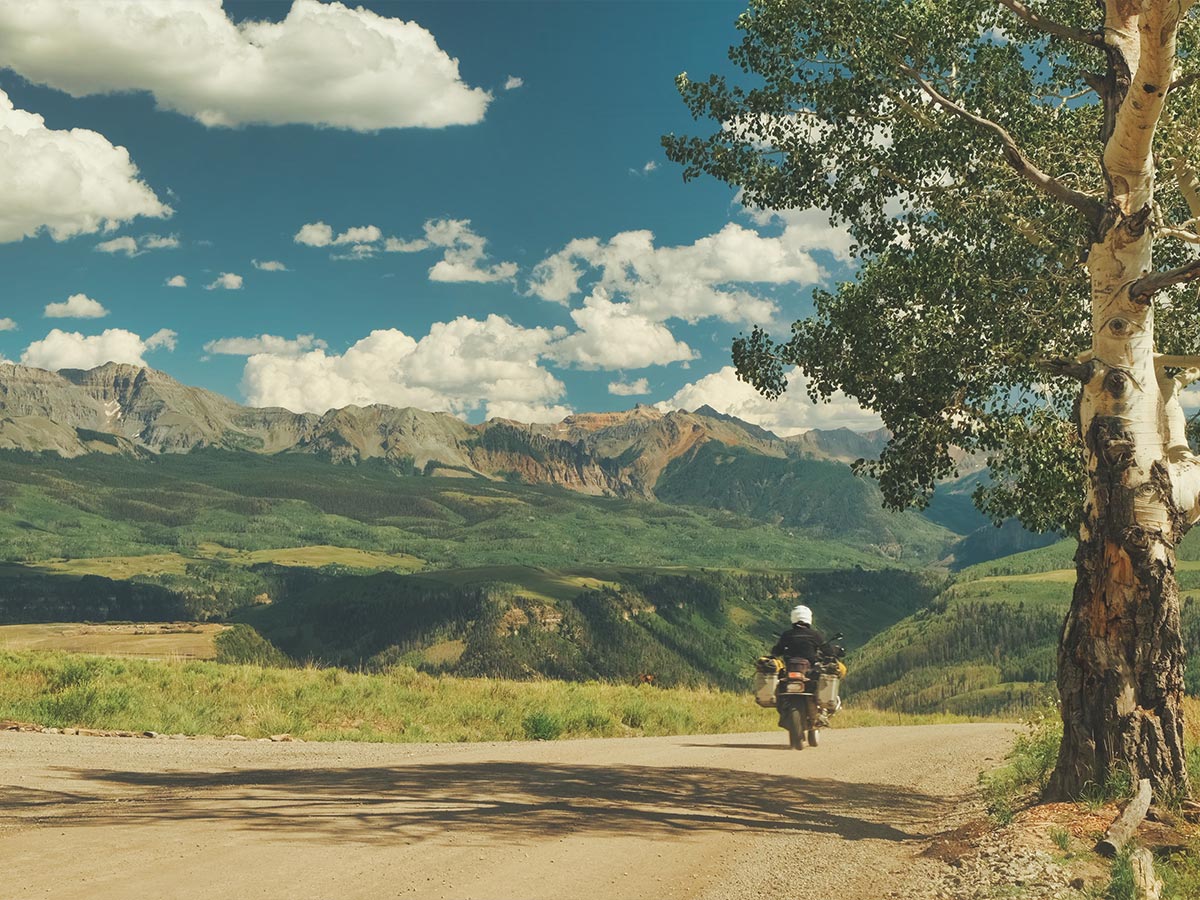 Touratech_Sterling_Noren_USA_Motorrad_Reise_Baum_Landschaft